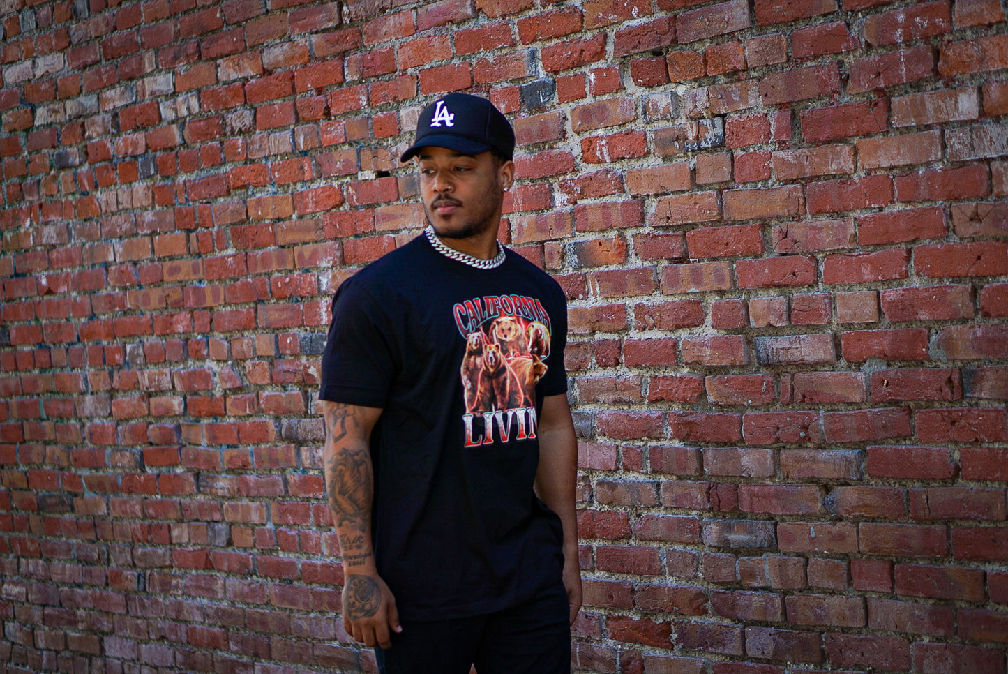 California Living Osos (FREE SHIPPING)