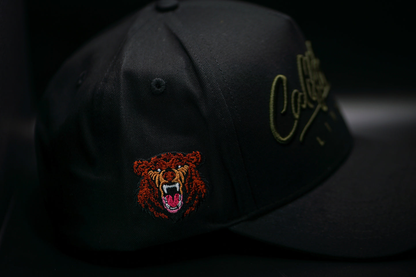 CL HAT IN FORREST GREEN