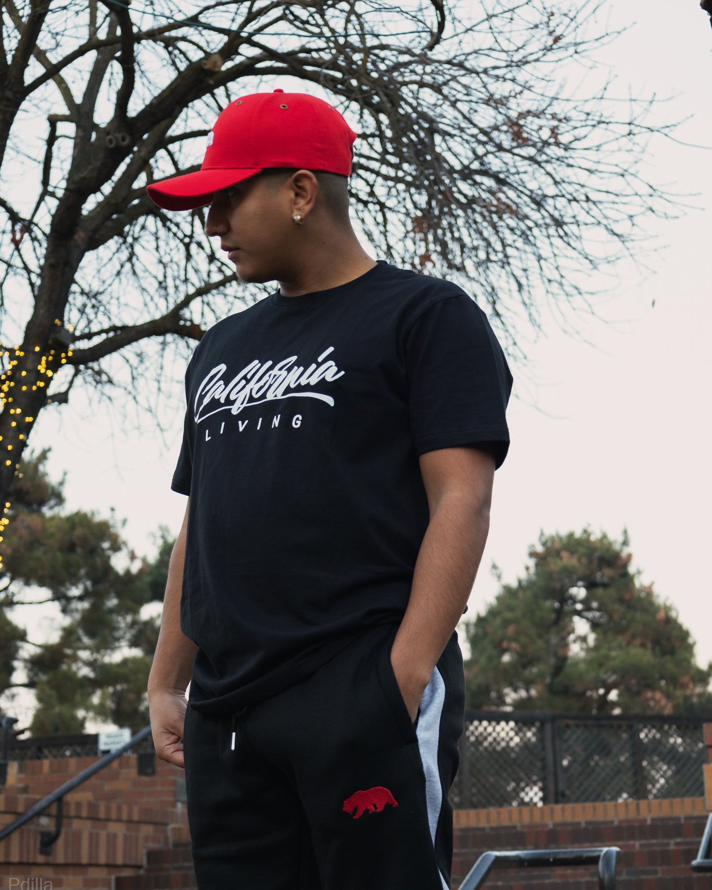 Crimson Cap (FREE SHIPPING)