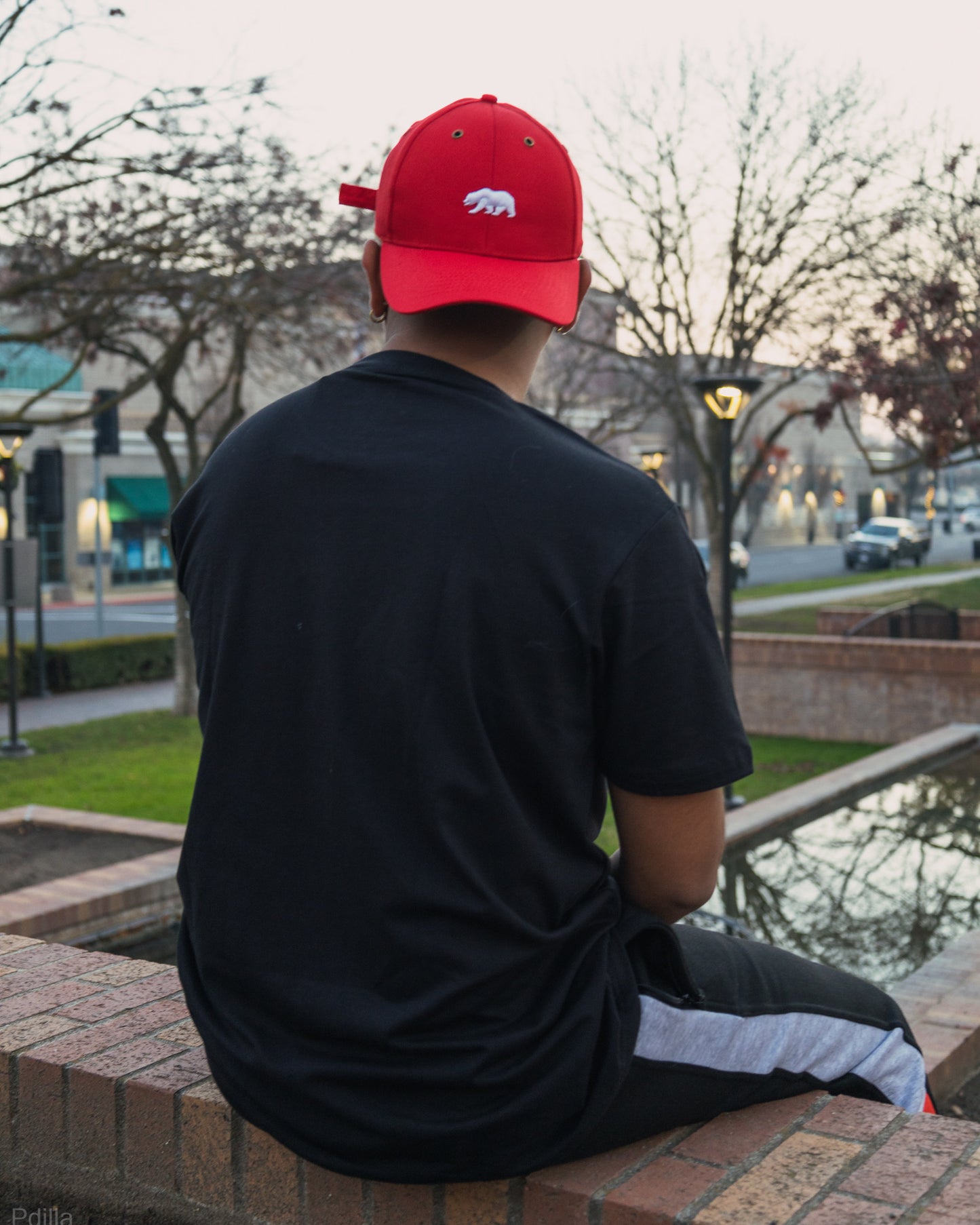 Crimson Cap (FREE SHIPPING)