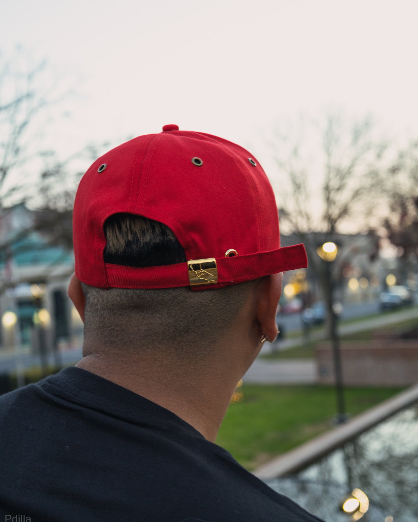 Crimson Cap (FREE SHIPPING)